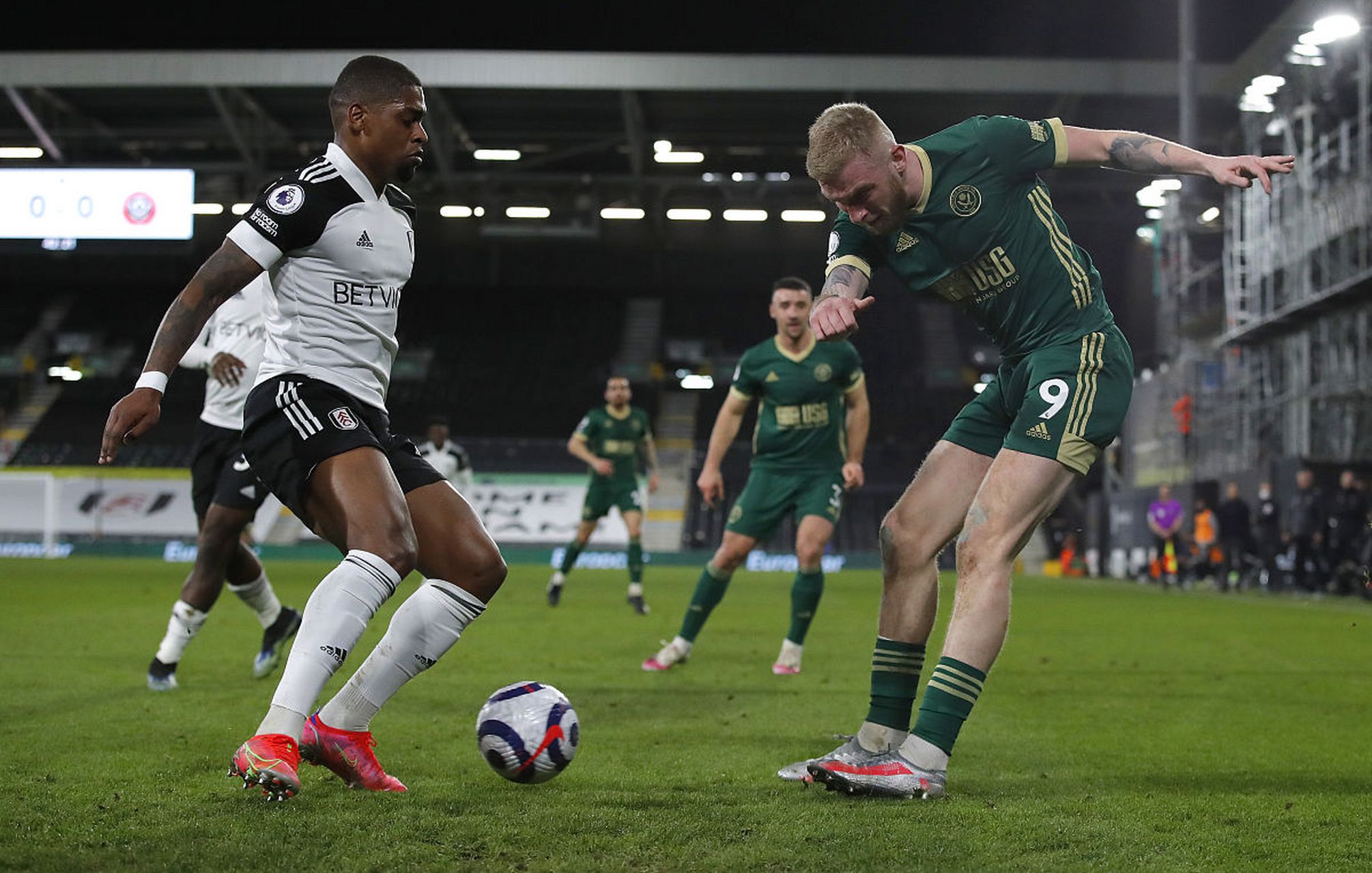 了中国羽毛 了中国羽毛